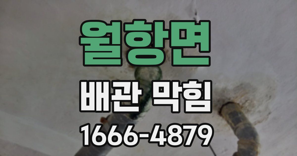 월항면 배관 막힘