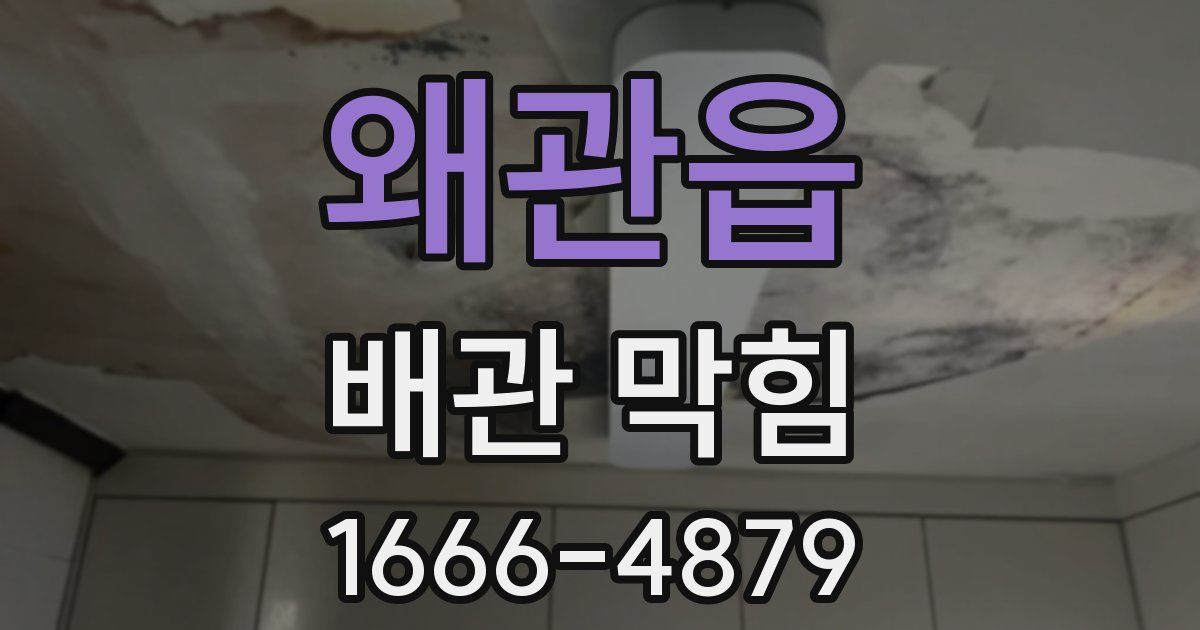 왜관읍 배관 막힘