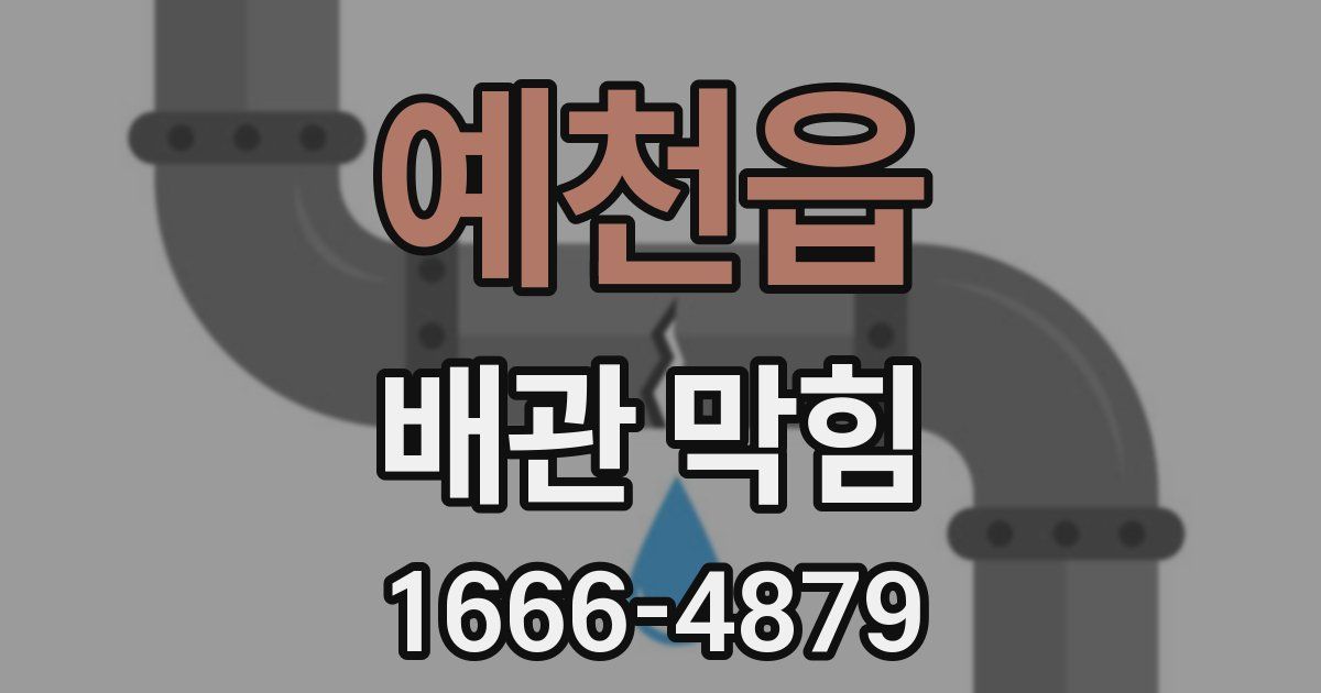 예천읍 배관 막힘