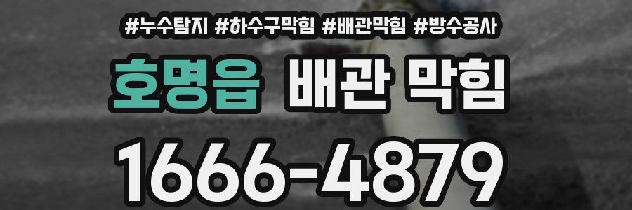 호명읍 배관 막힘