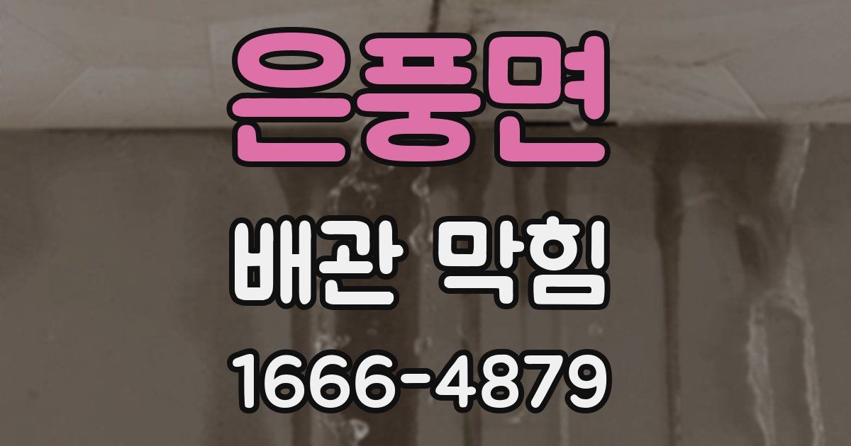 은풍면 배관 막힘