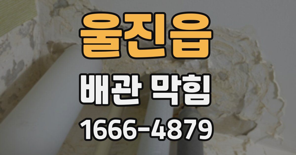 울진읍 배관 막힘