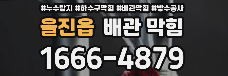 울진읍 배관 막힘