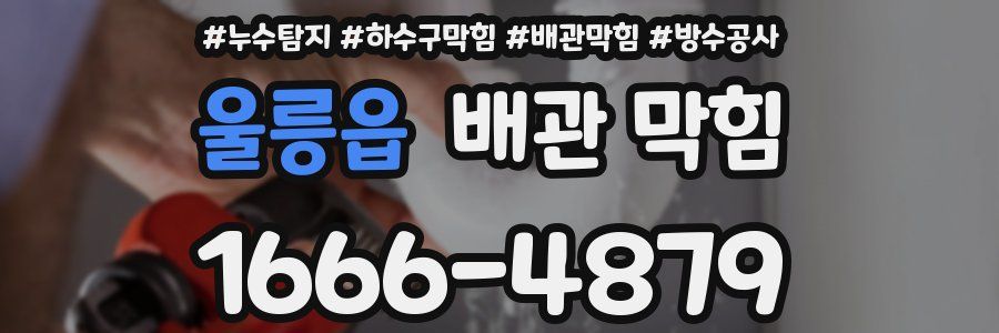 울릉읍 배관 막힘