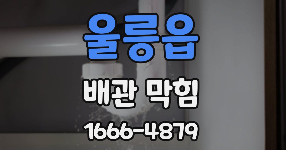 울릉읍 배관 막힘