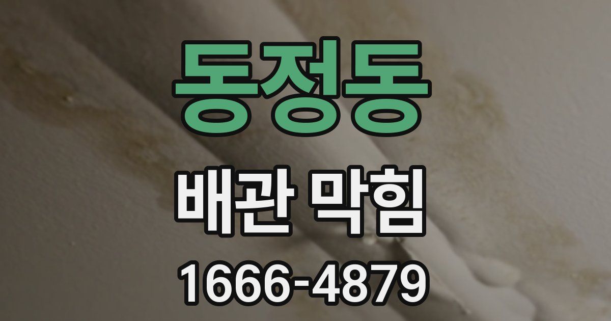 동정동 배관 막힘