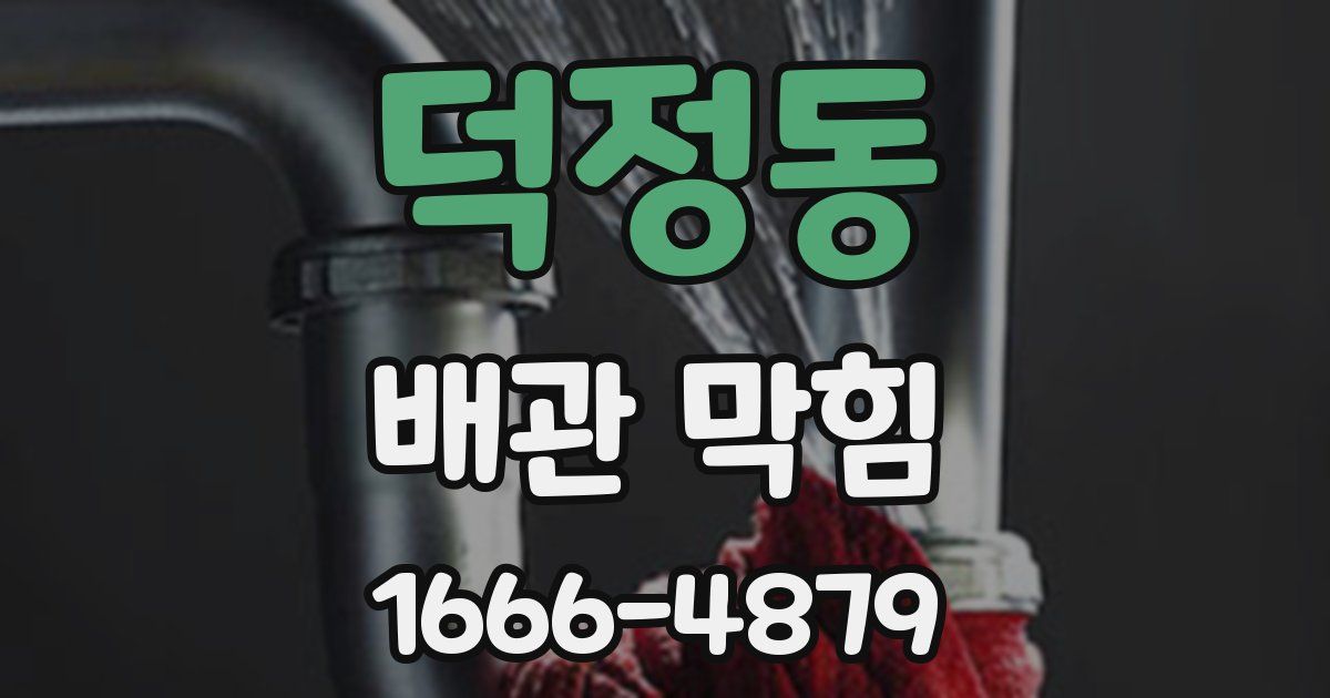 덕정동 배관 막힘