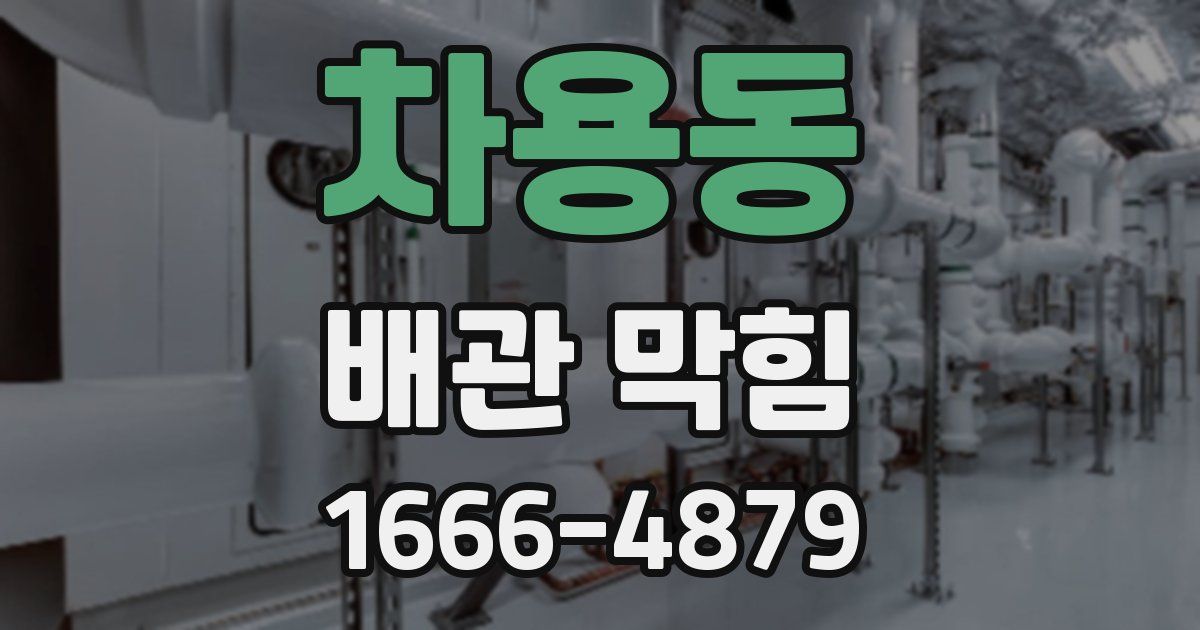 차용동 배관 막힘