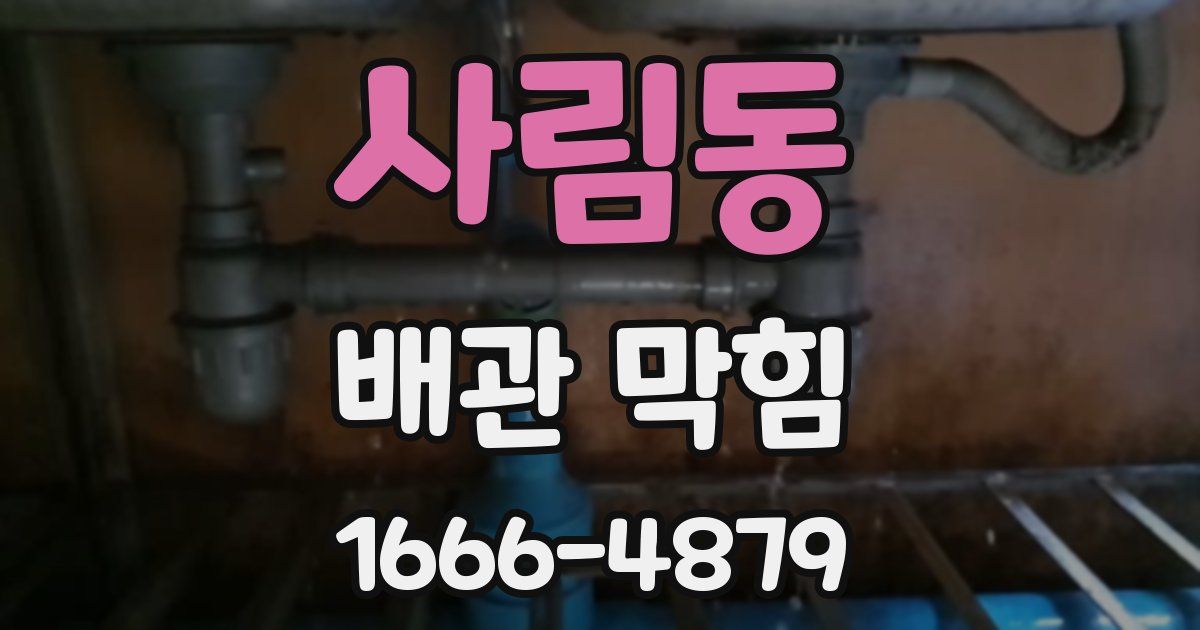 사림동 배관 막힘