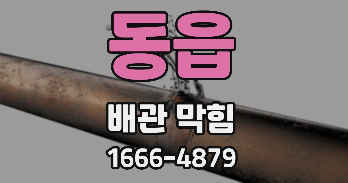 동읍 배관 막힘