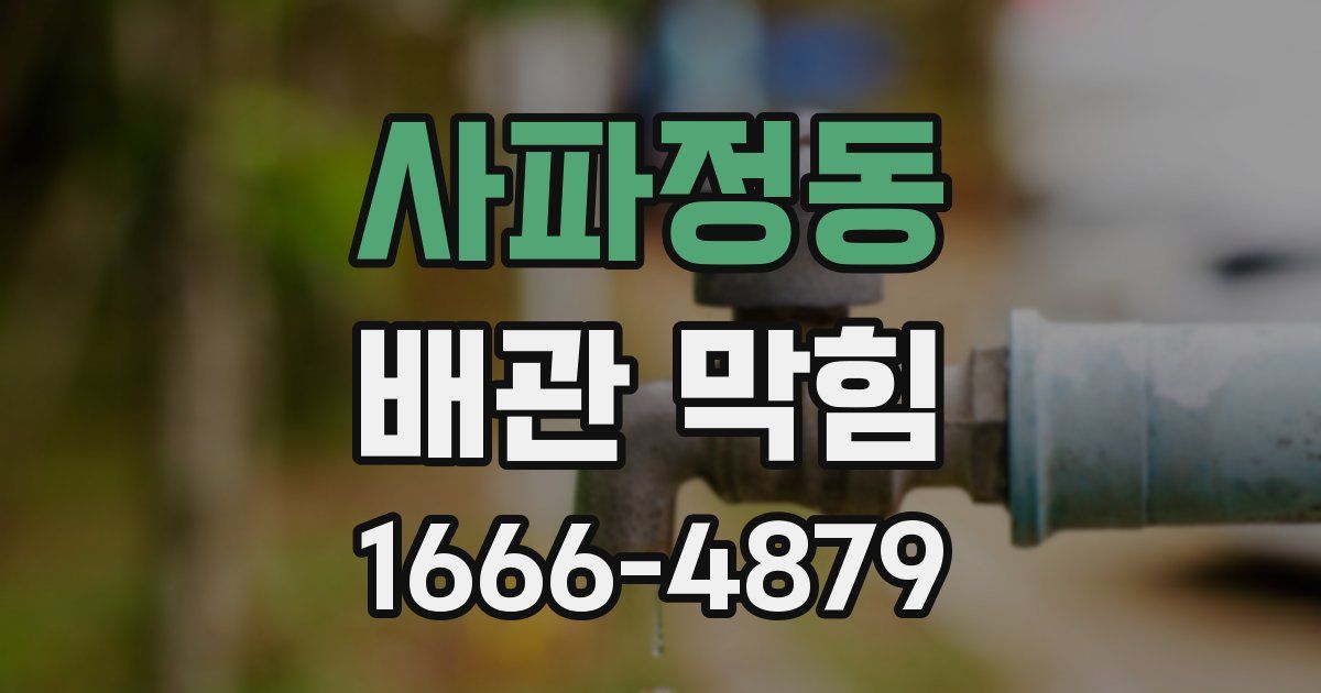 사파정동 배관 막힘