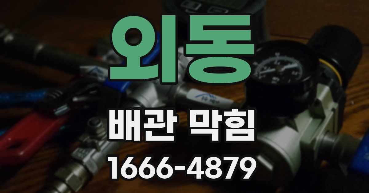 외동 배관 막힘