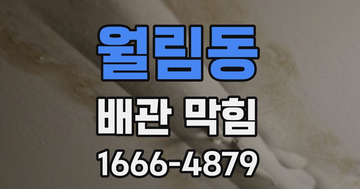월림동 배관 막힘