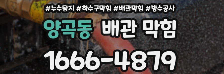양곡동 배관 막힘