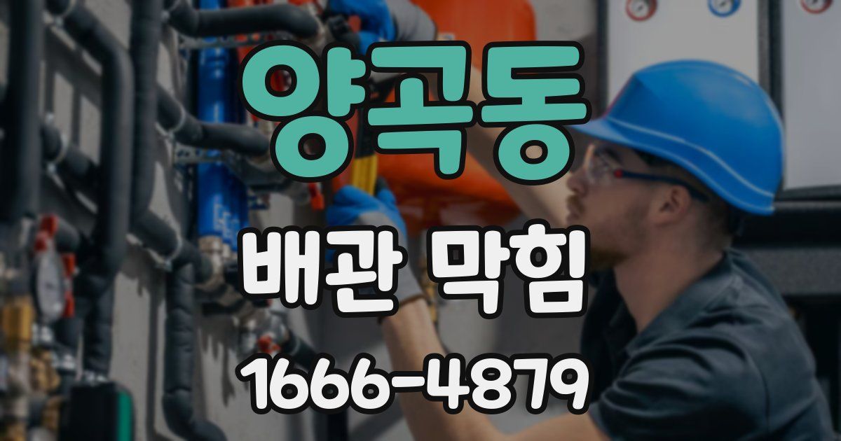 양곡동 배관 막힘