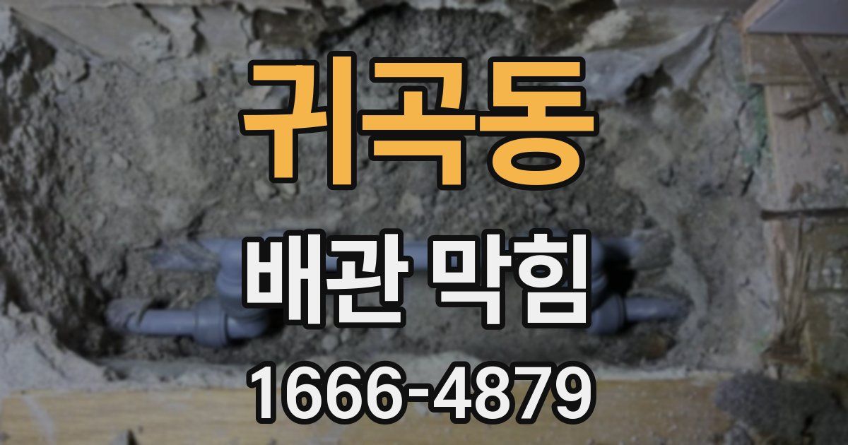 귀곡동 배관 막힘