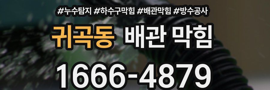 귀곡동 배관 막힘