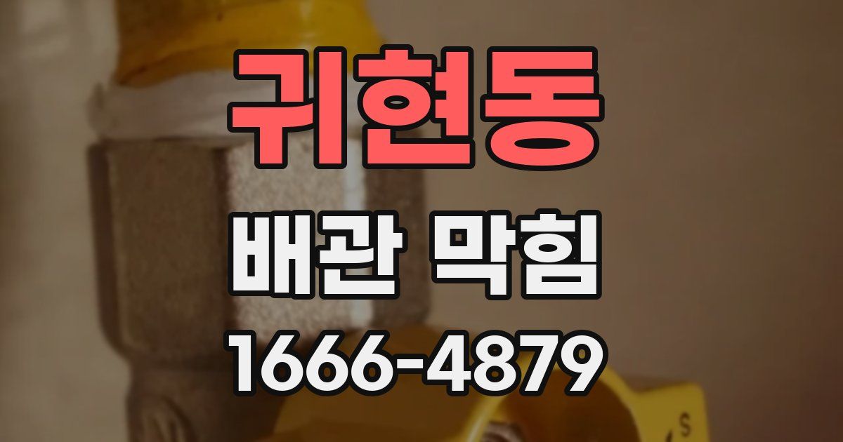 귀현동 배관 막힘
