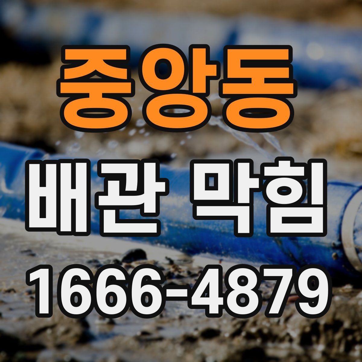 중앙동 배관 막힘