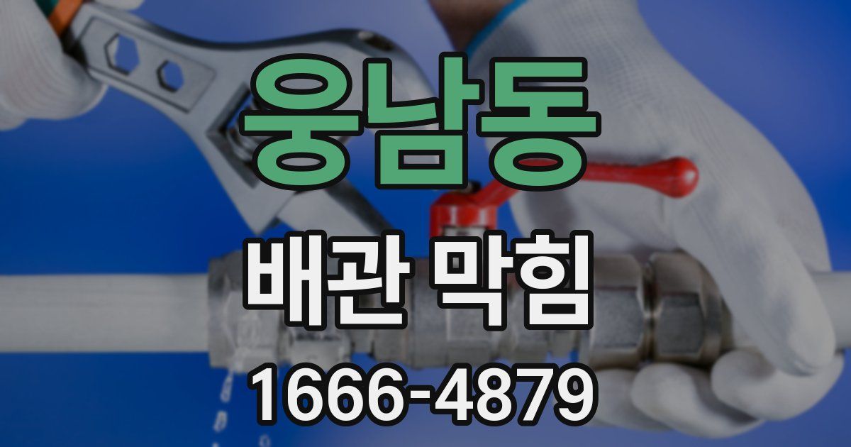 웅남동 배관 막힘