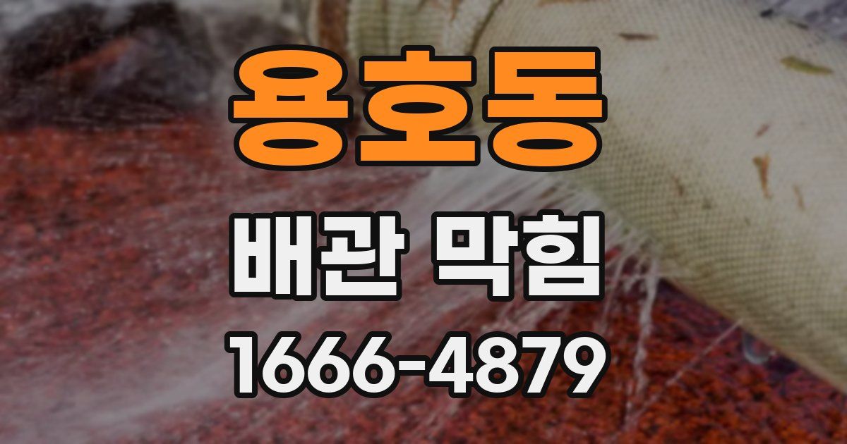 용호동 배관 막힘