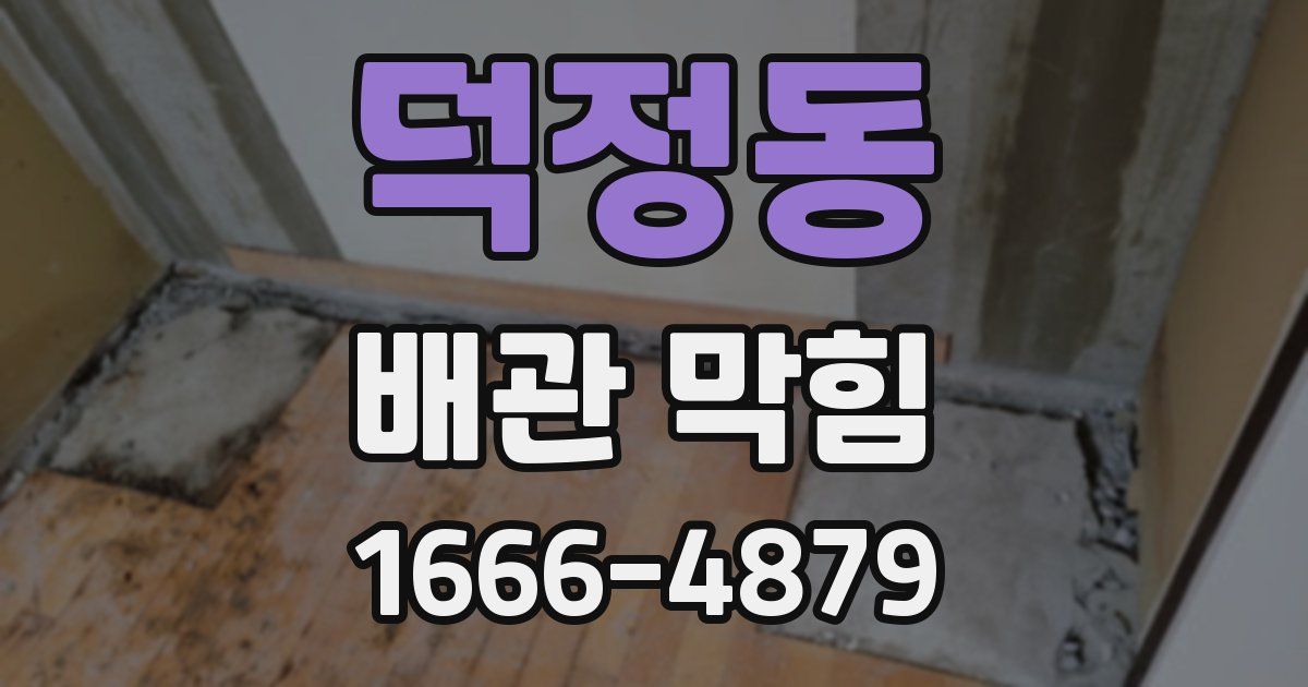 덕정동 배관 막힘