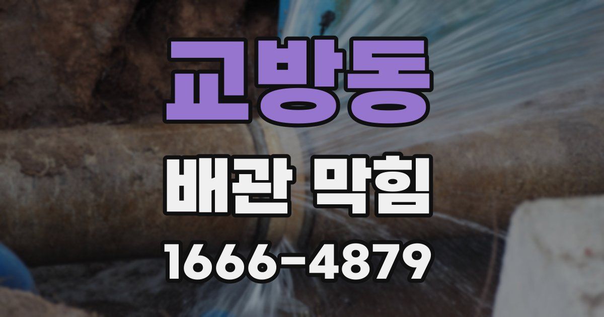 교방동 배관 막힘