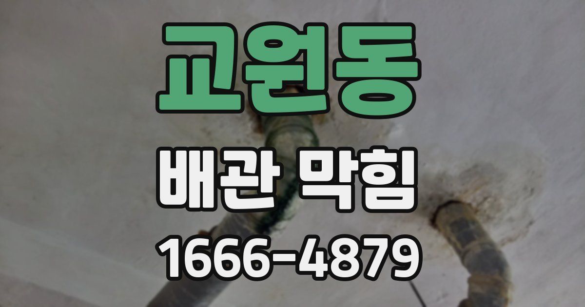교원동 배관 막힘
