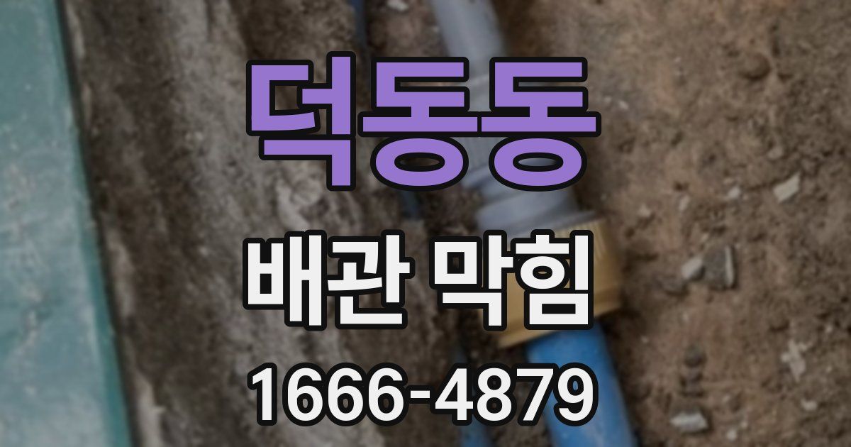 덕동동 배관 막힘