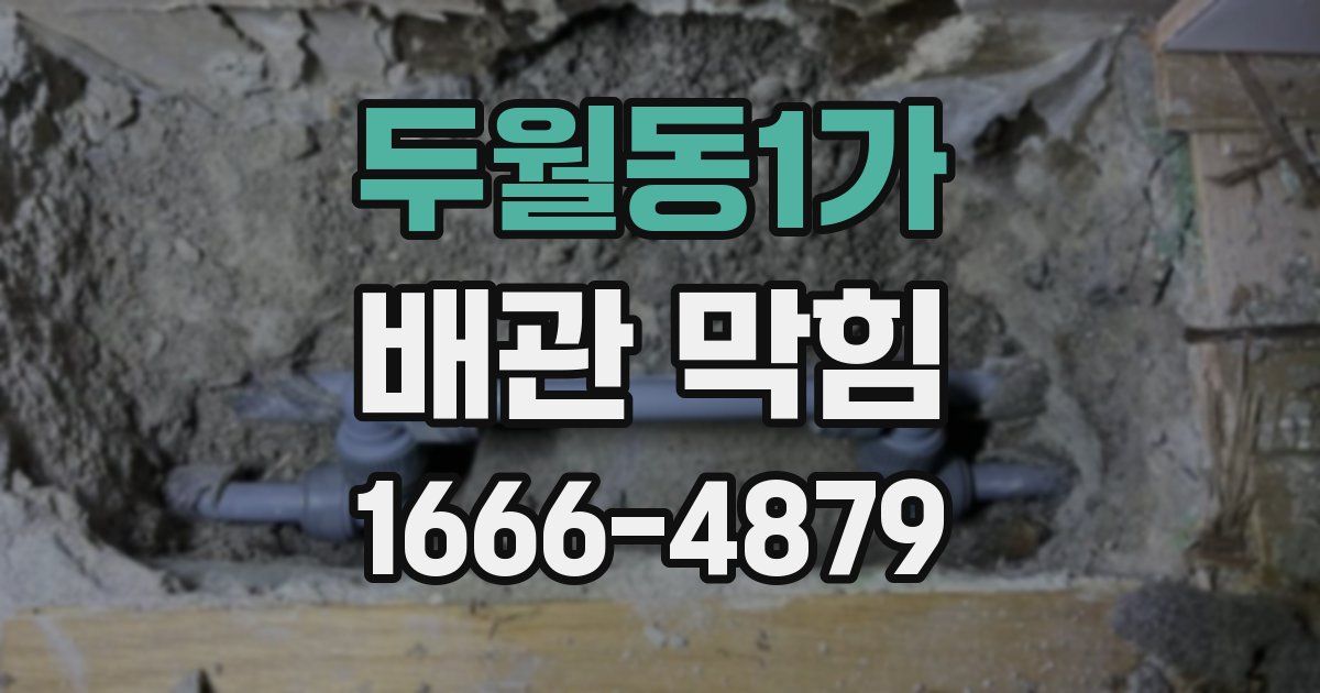 두월동1가 배관 막힘