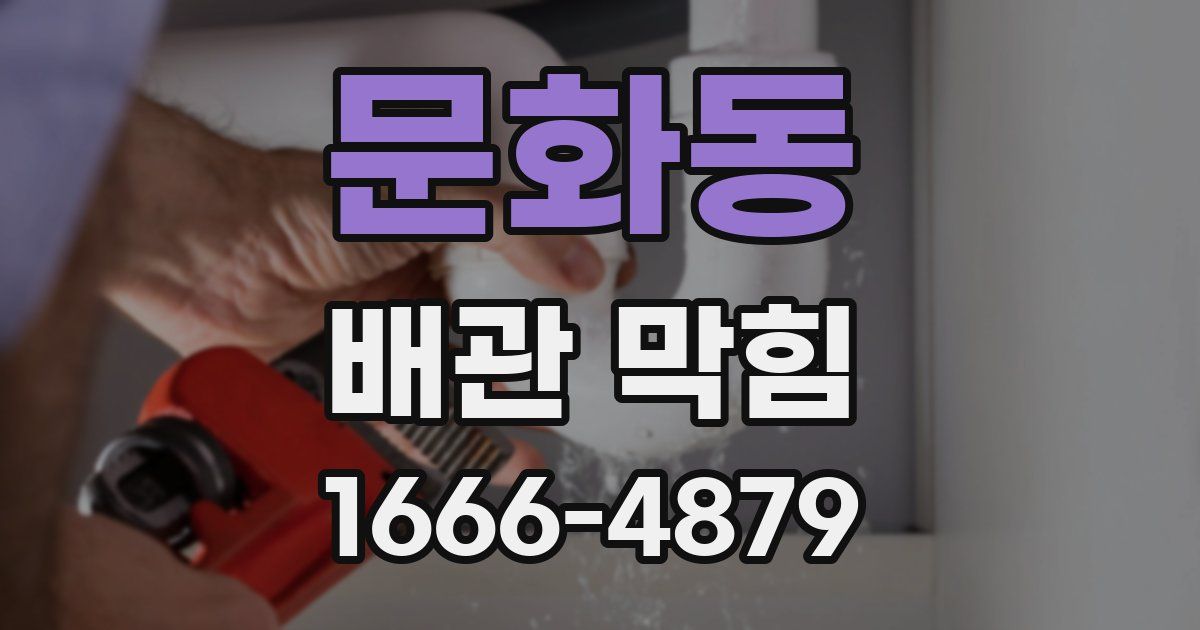문화동 배관 막힘