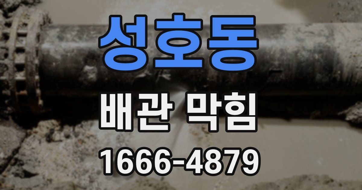 성호동 배관 막힘