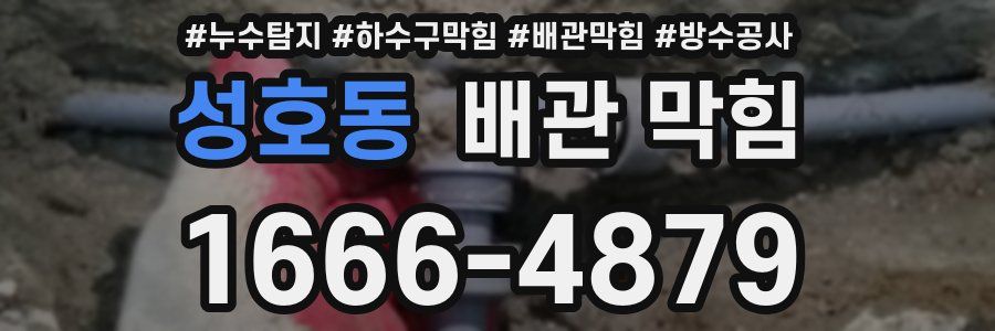 성호동 배관 막힘