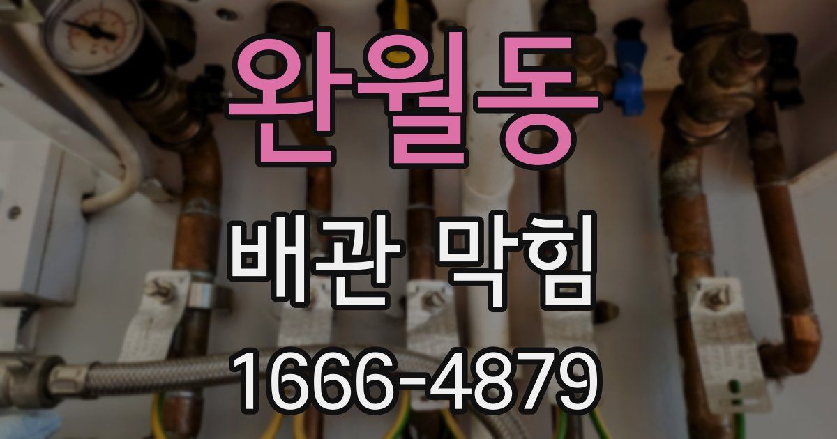 완월동 배관 막힘