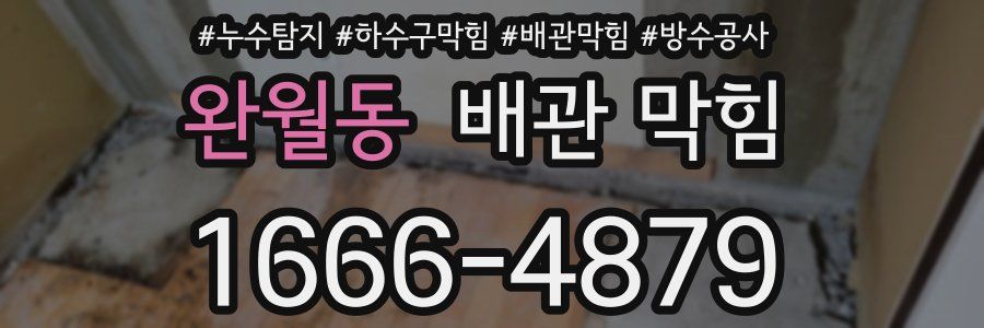 완월동 배관 막힘