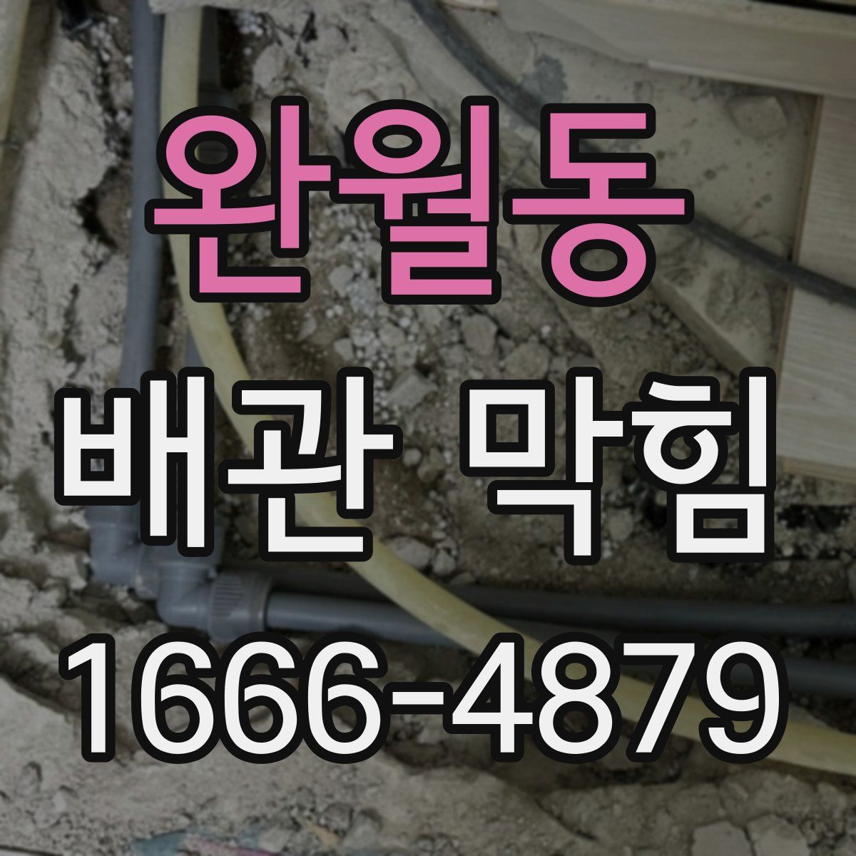 완월동 배관 막힘