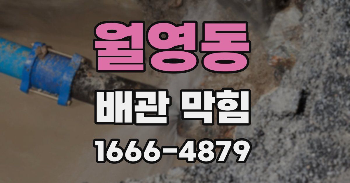월영동 배관 막힘