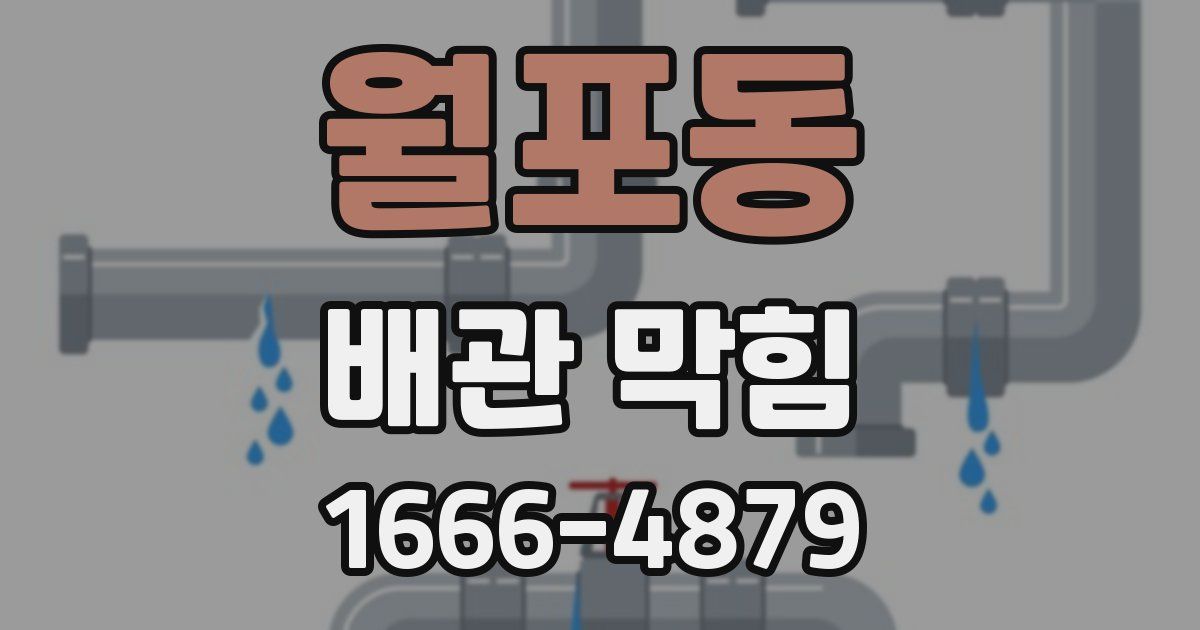 월포동 배관 막힘