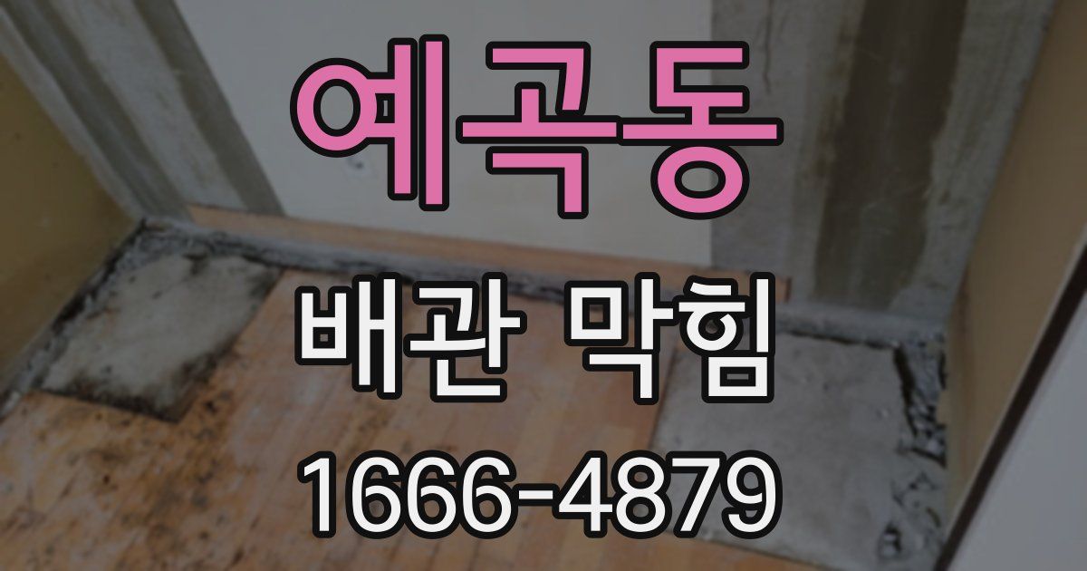 예곡동 배관 막힘
