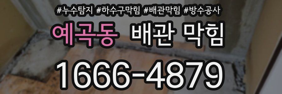 예곡동 배관 막힘
