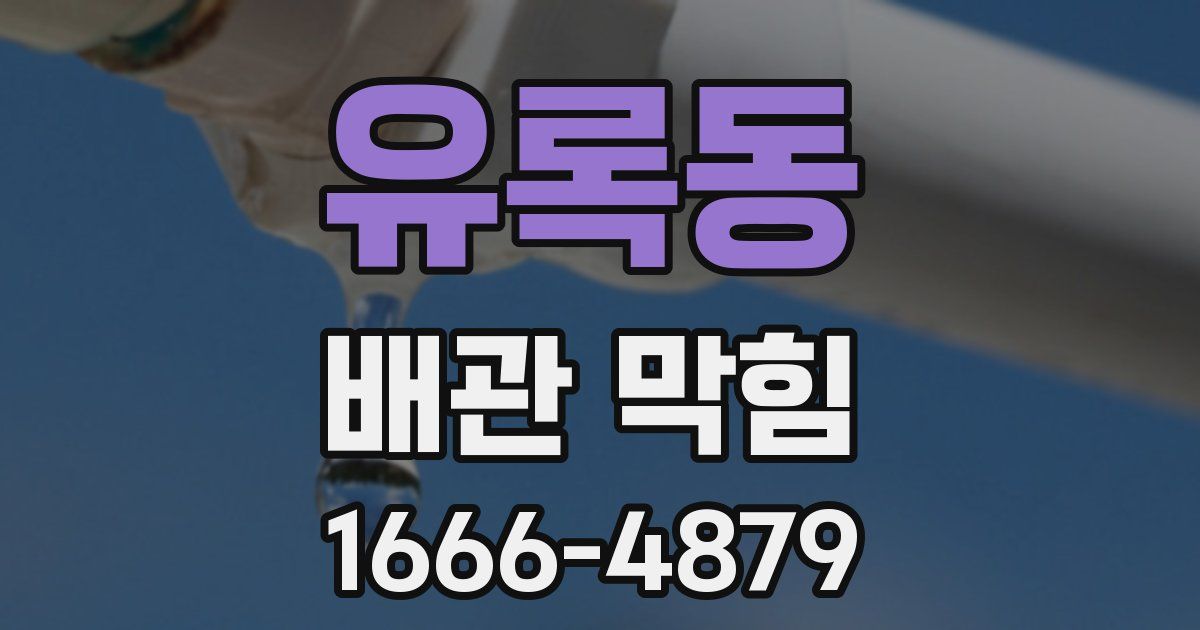 유록동 배관 막힘