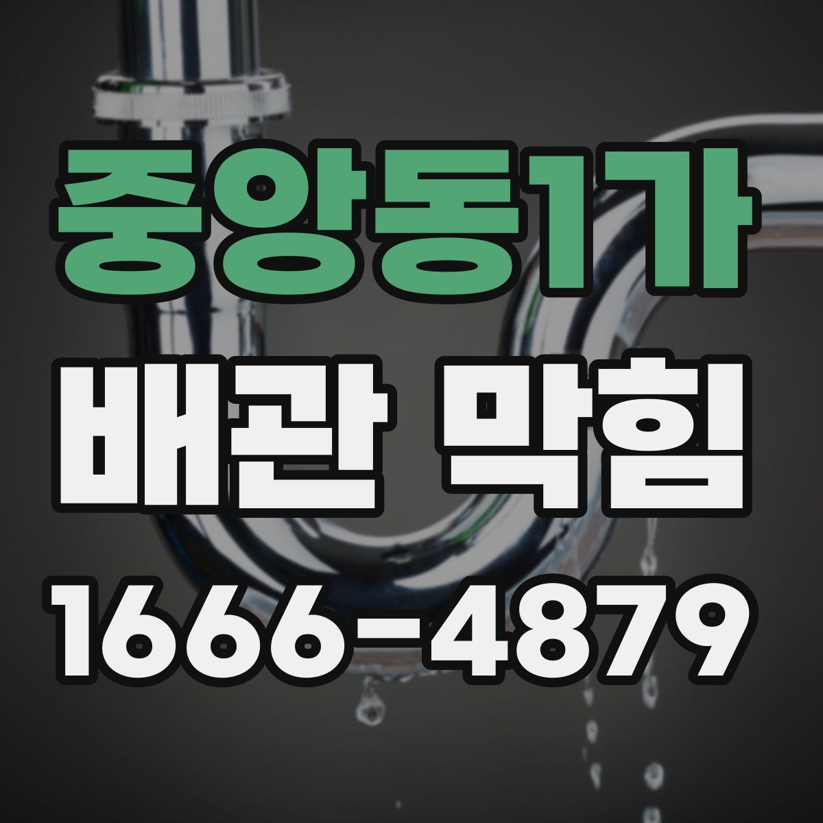 중앙동1가 배관 막힘