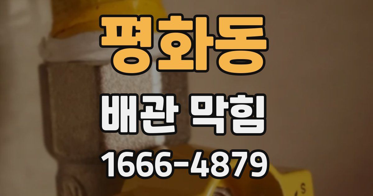 평화동 배관 막힘