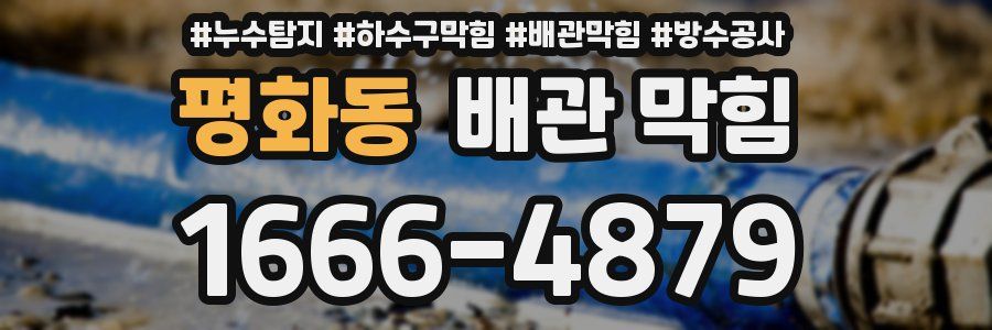 평화동 배관 막힘