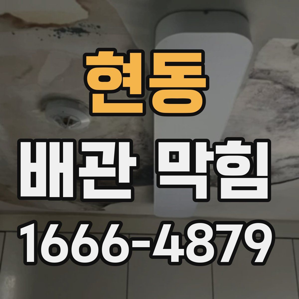 현동 배관 막힘