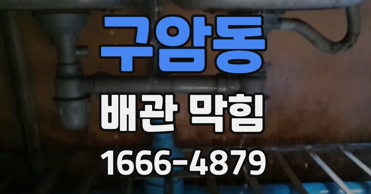구암동 배관 막힘