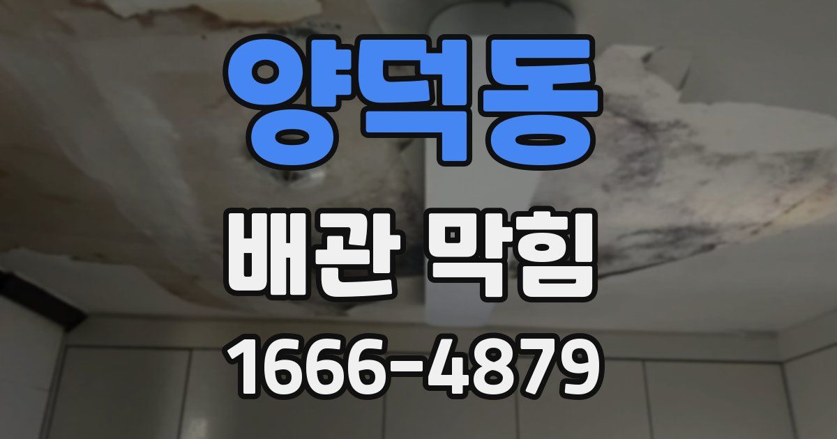 양덕동 배관 막힘
