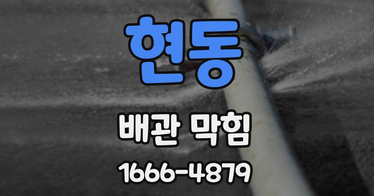 현동 배관 막힘