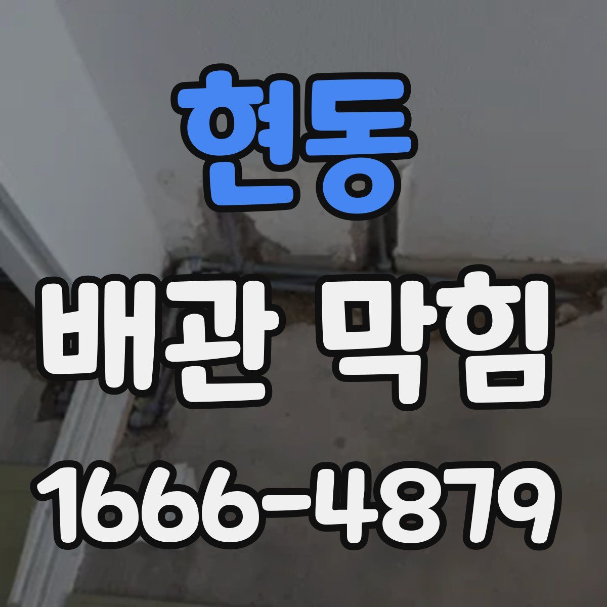 현동 배관 막힘