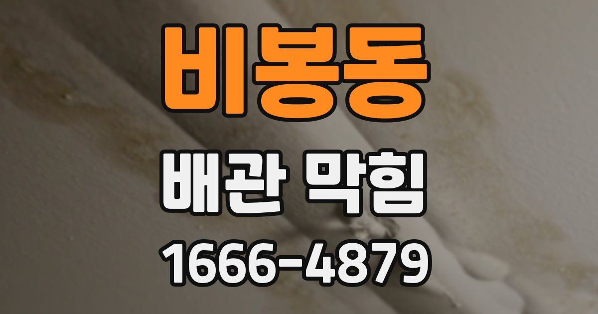 비봉동 배관 막힘